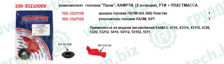 Рк головки ПАЛМ 2поз.КАМРТИ