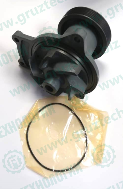 740.50-1307010 - Насос водяной ЕВРО-2 ЗЧТД