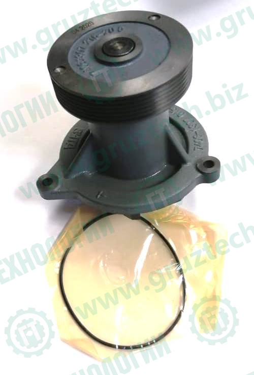 740.50-1307010 - Насос водяной ЕВРО-2 ЗЧТД