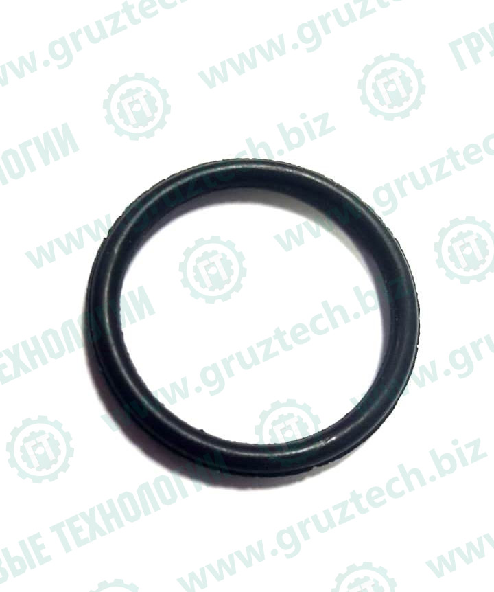 Кольцо форсунки