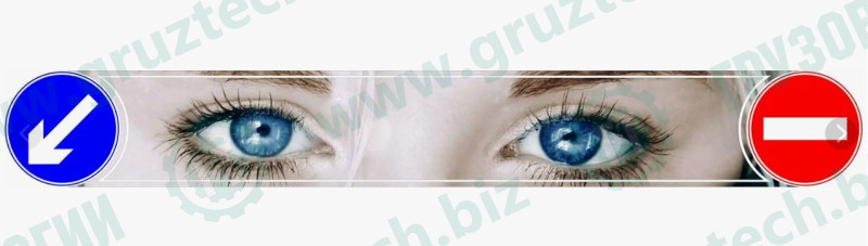 Брызговик длинномер 350*2400 "Глаза"